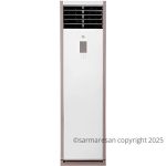 کولر گازی ایوولی مدل EVFS-36K-MD-1 ظرفیت 36000